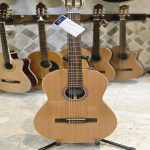 Godin collection
